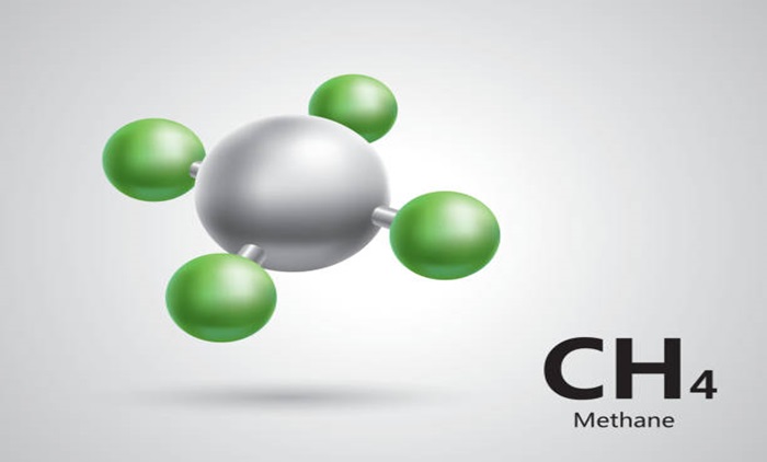 Hydrocarbons